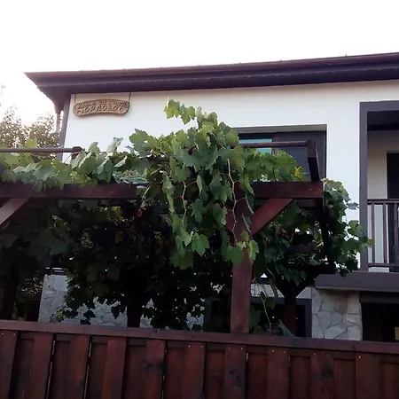Ferienhaus Guesthouse Orlovo Orlovo